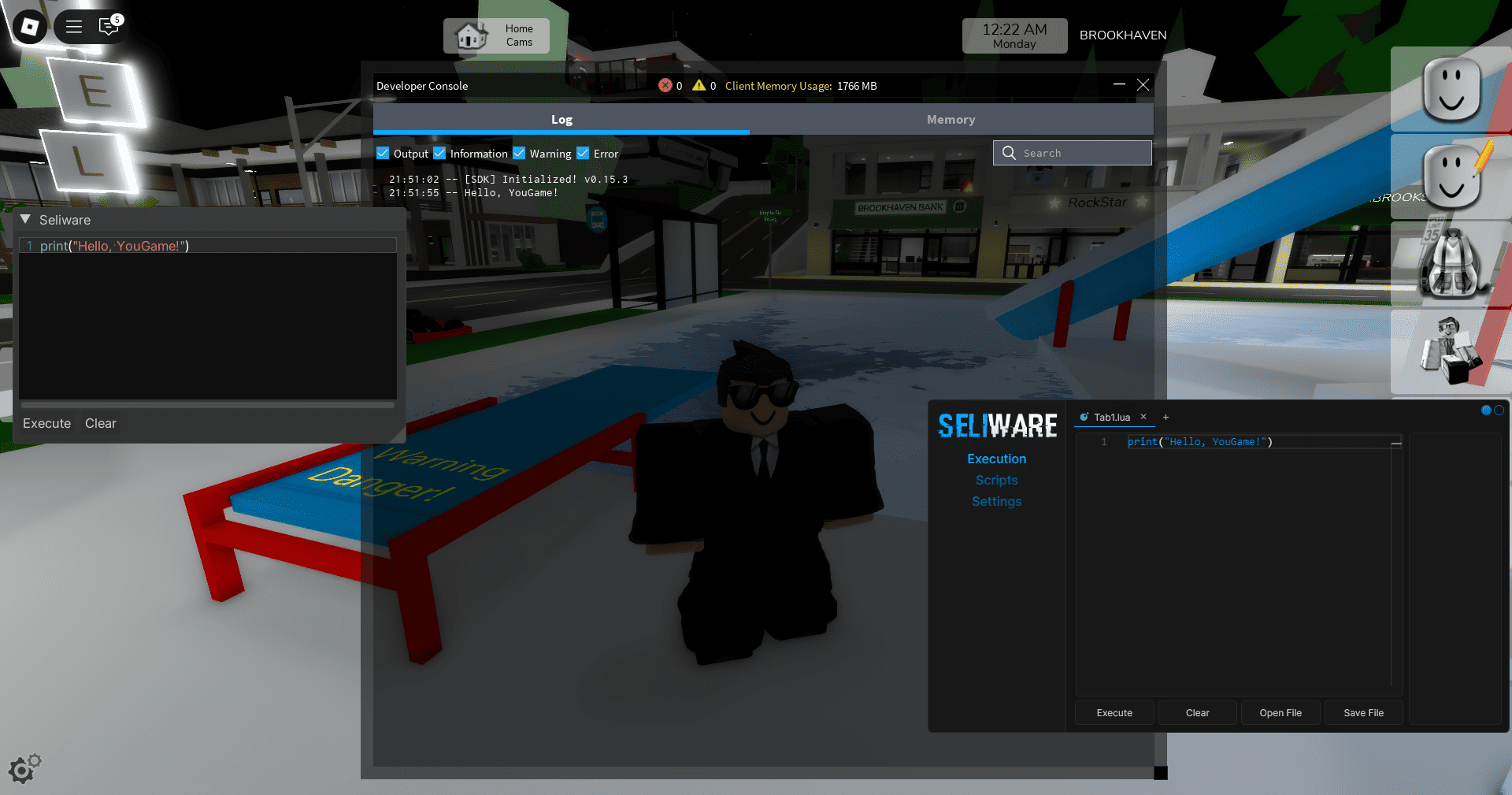 roblox_seliware_2.png